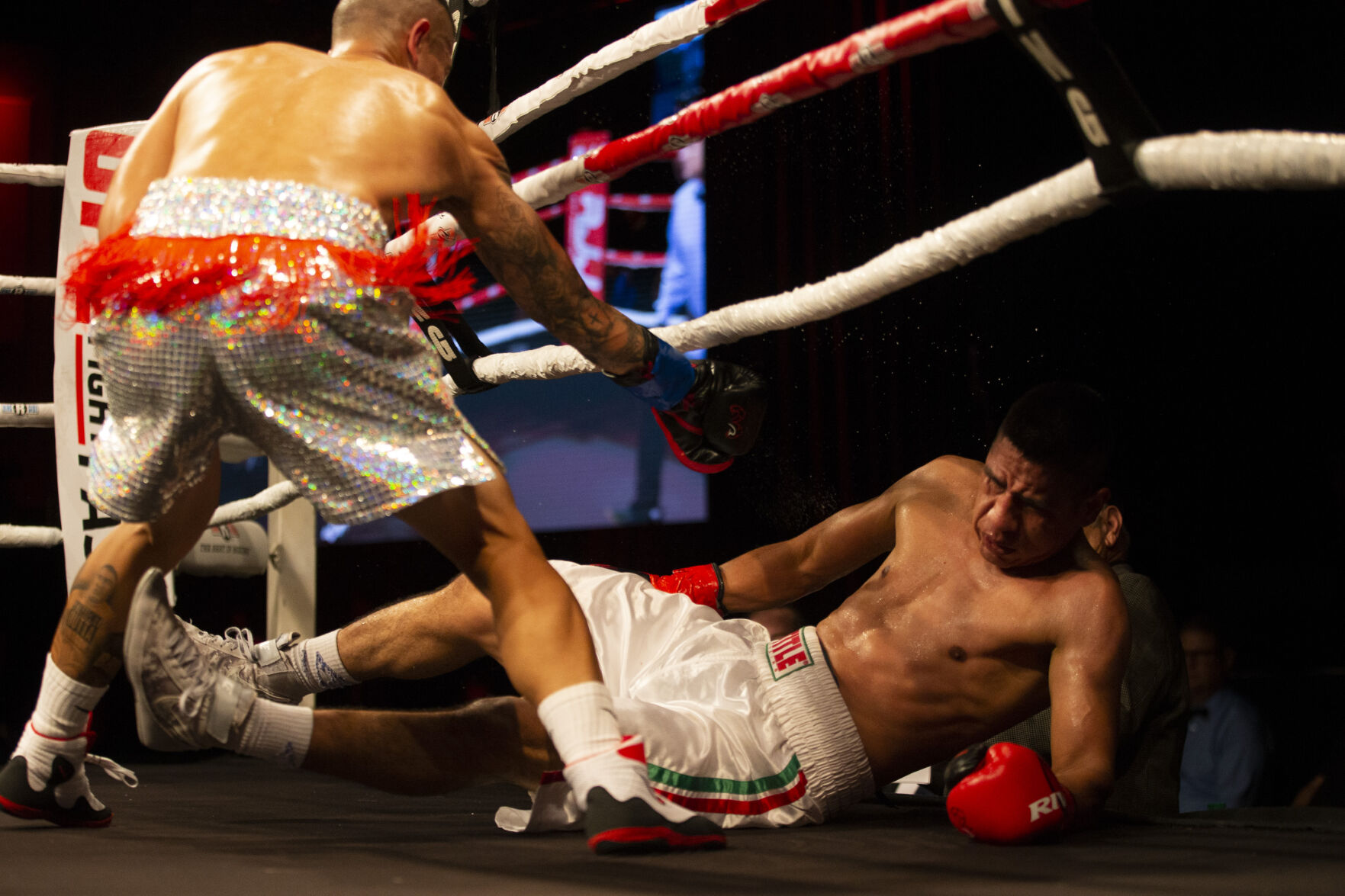 Roy Jones Championship Boxing
